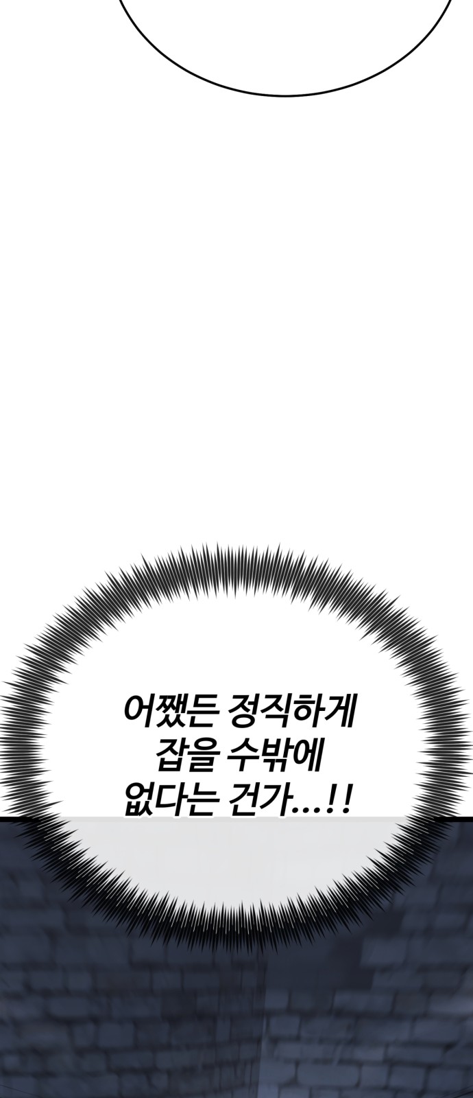 113 페이지