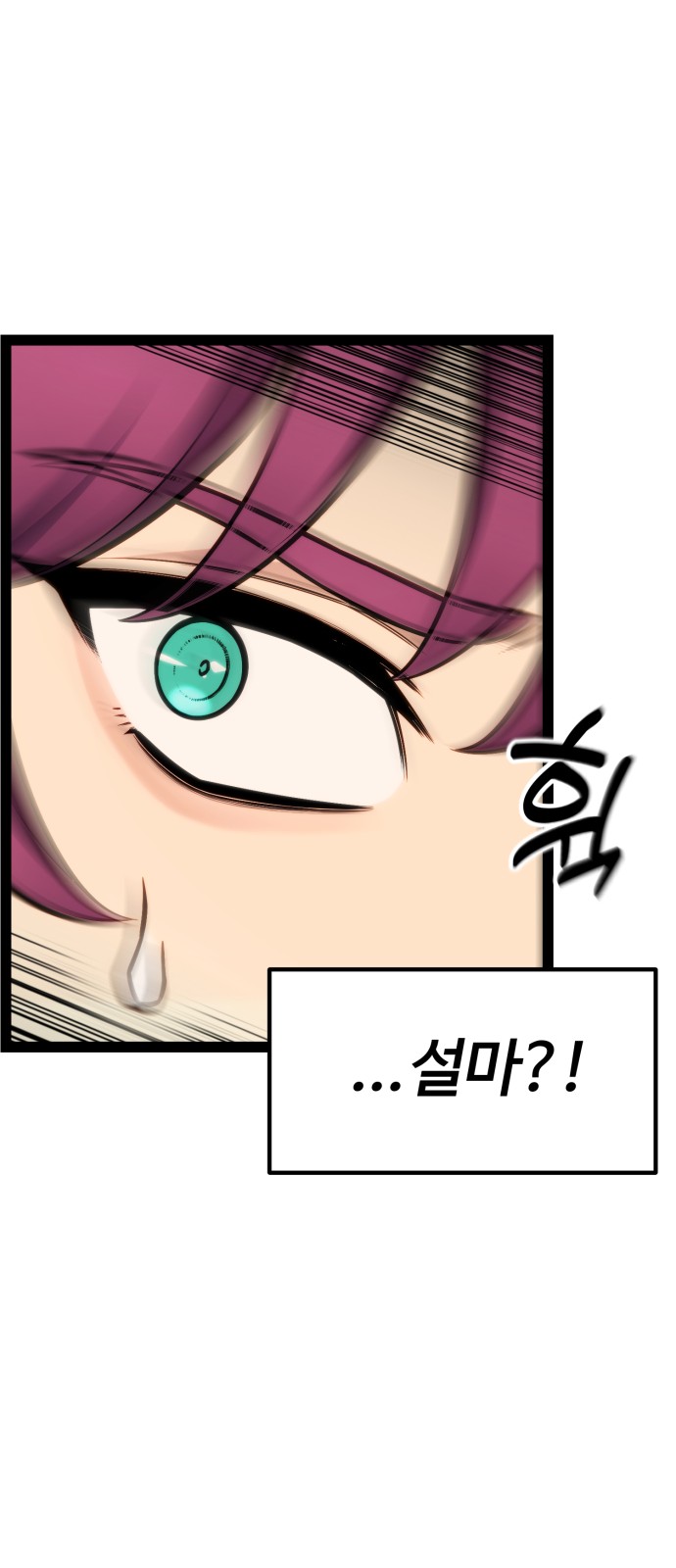 113 페이지
