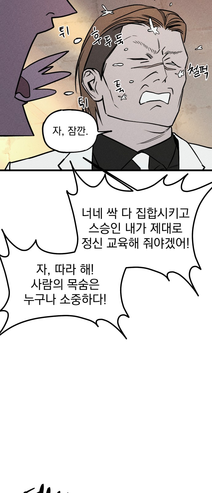 66 페이지