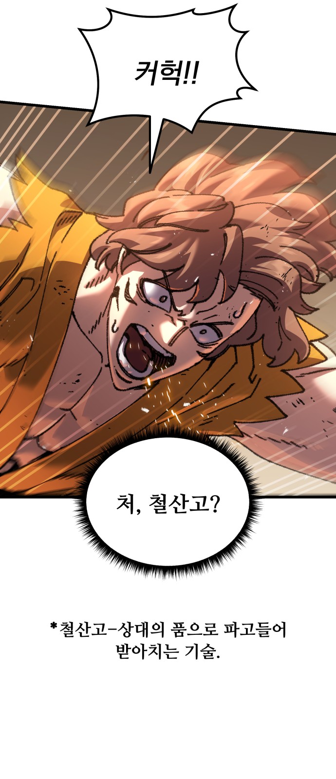 43 페이지