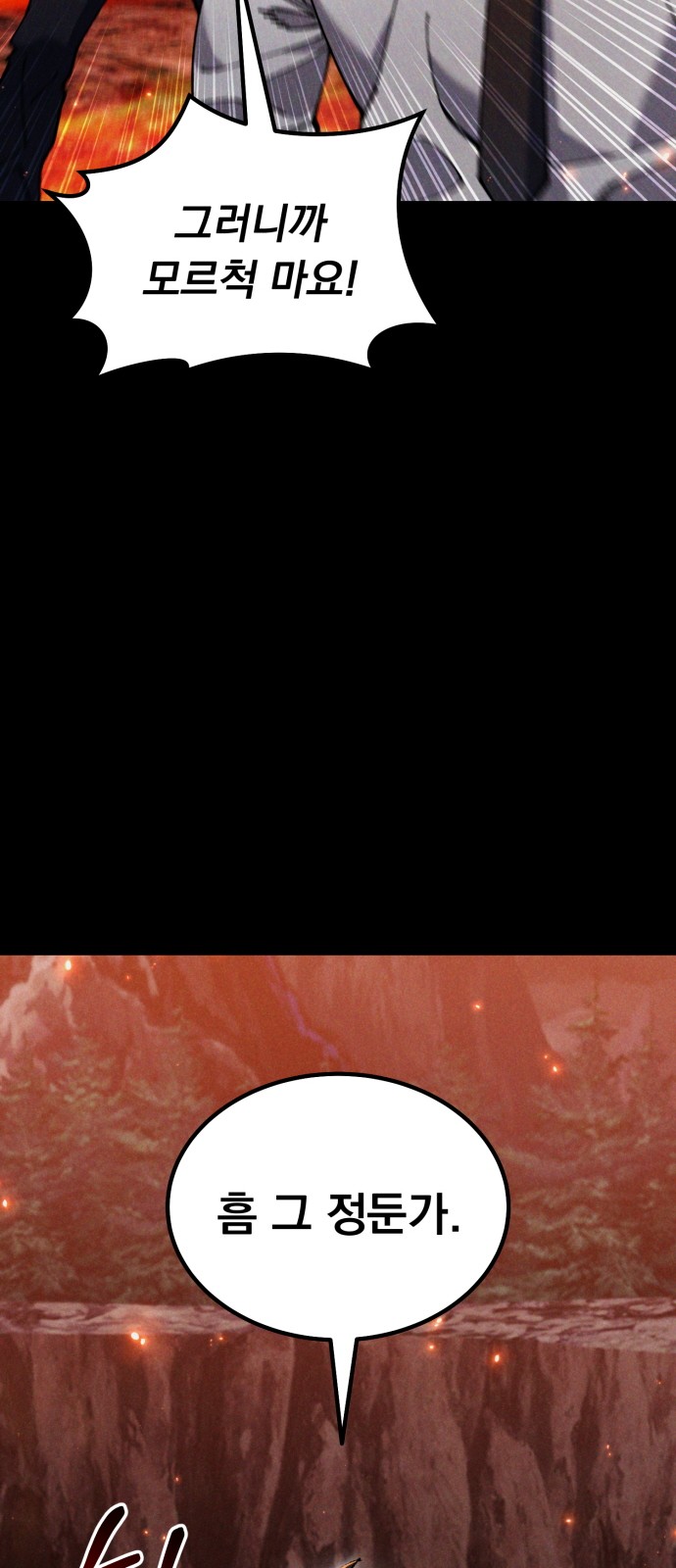 113 페이지