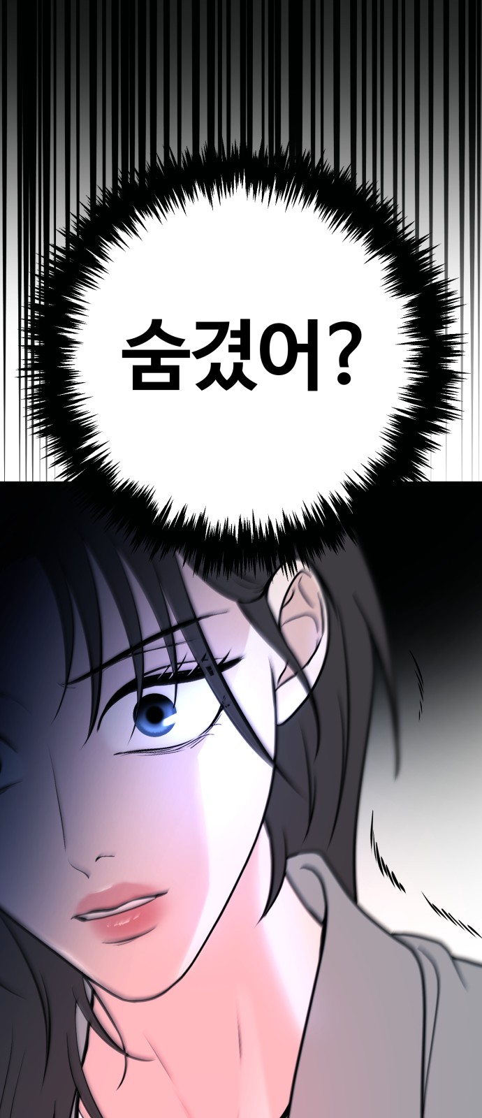 86 페이지