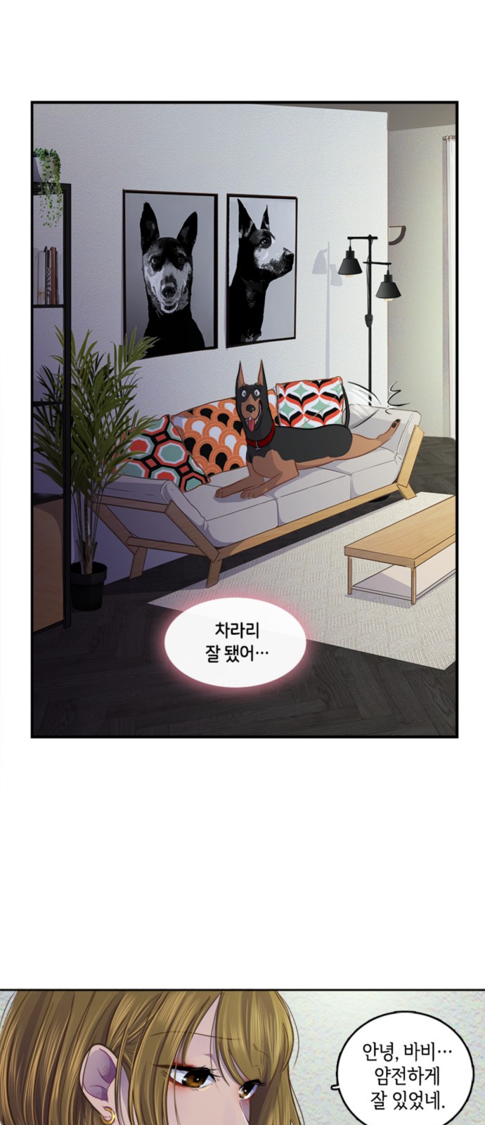 43 페이지