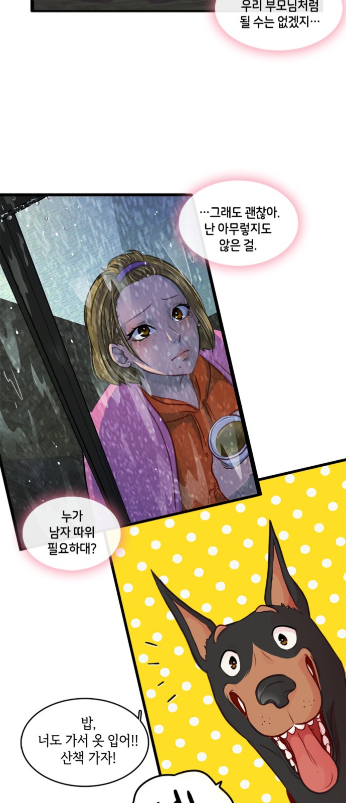 51 페이지