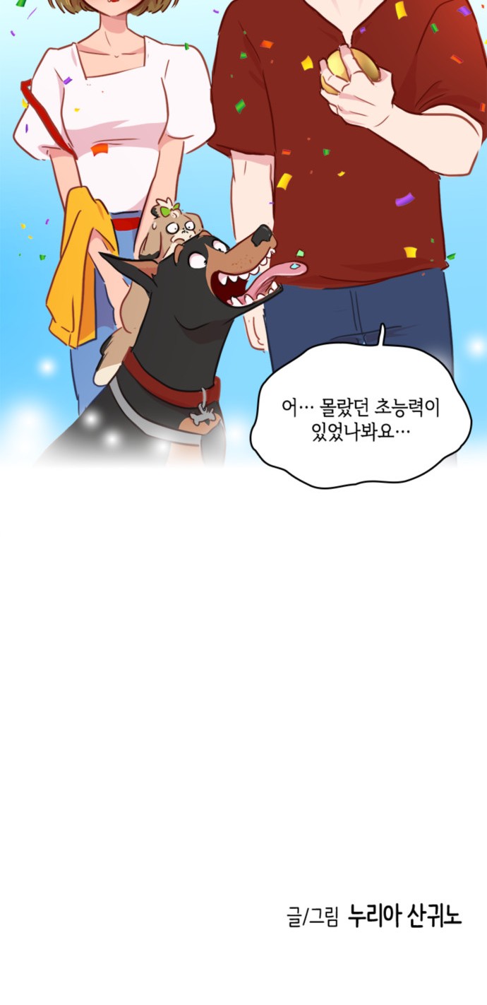 48 페이지