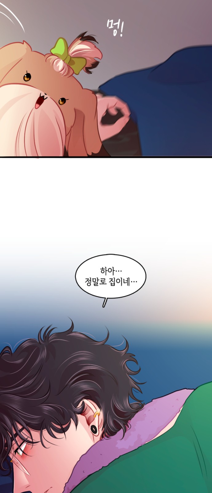 20 페이지