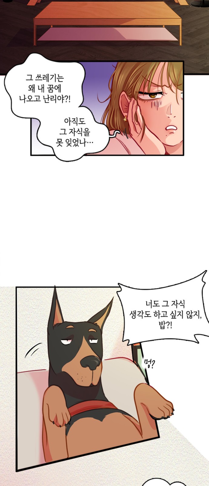 14 페이지