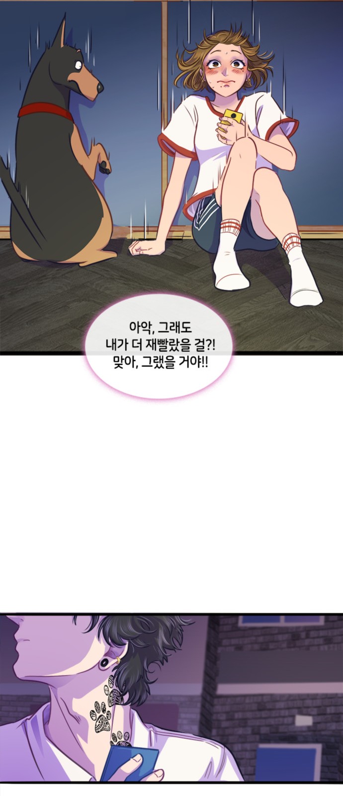 41 페이지