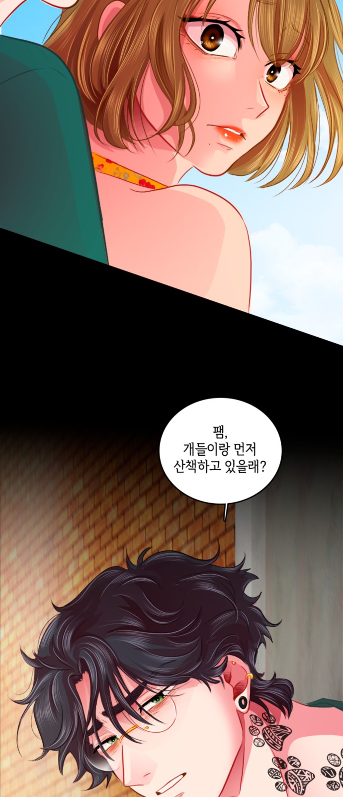 15 페이지