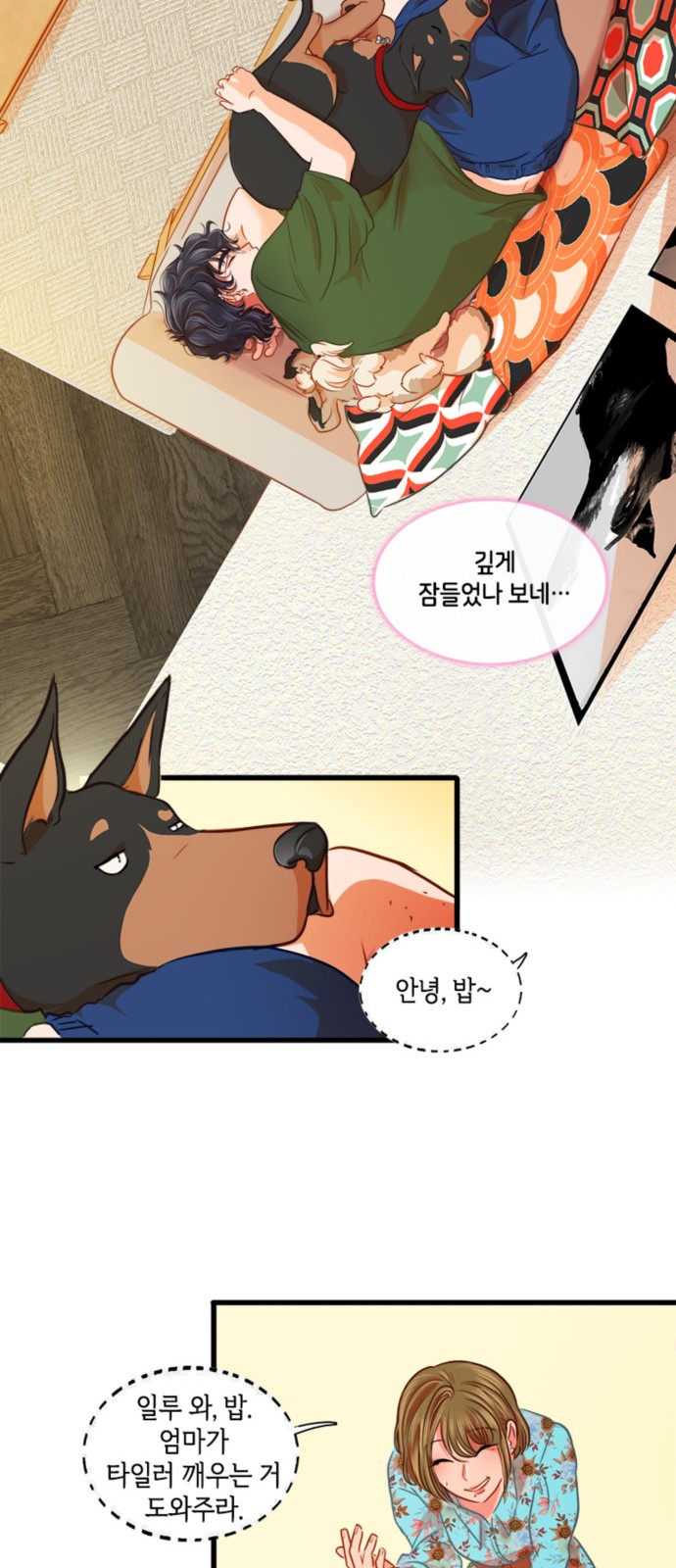 30 페이지