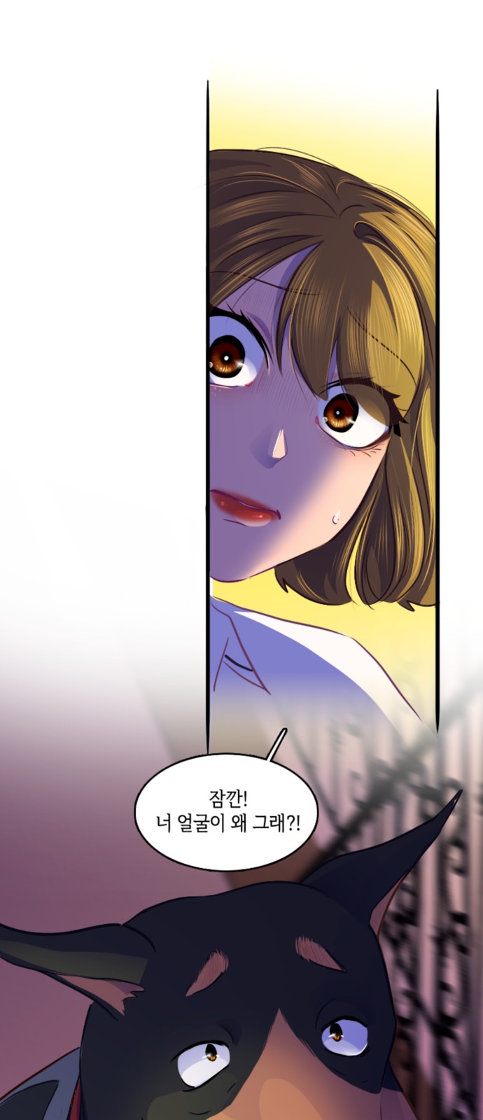 43 페이지
