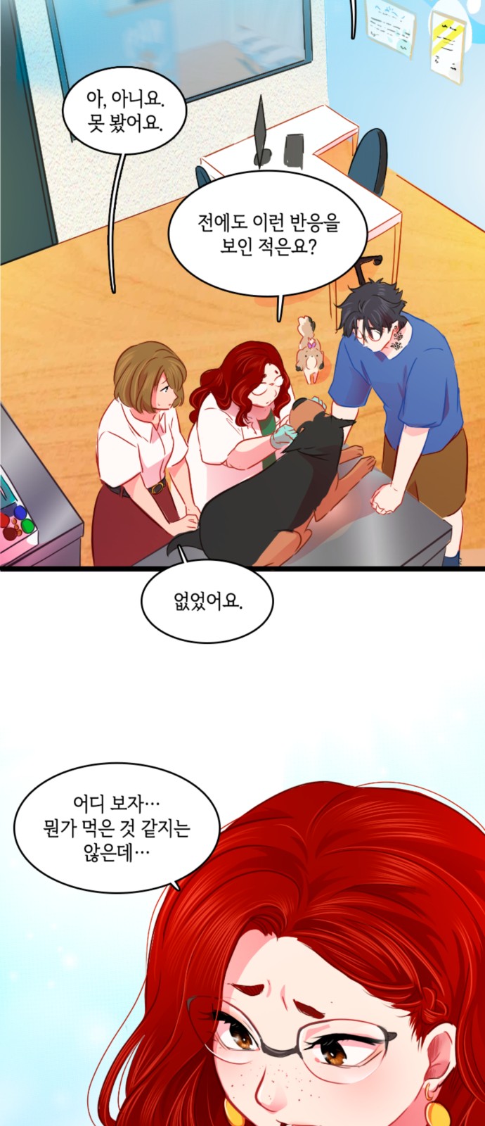 23 페이지