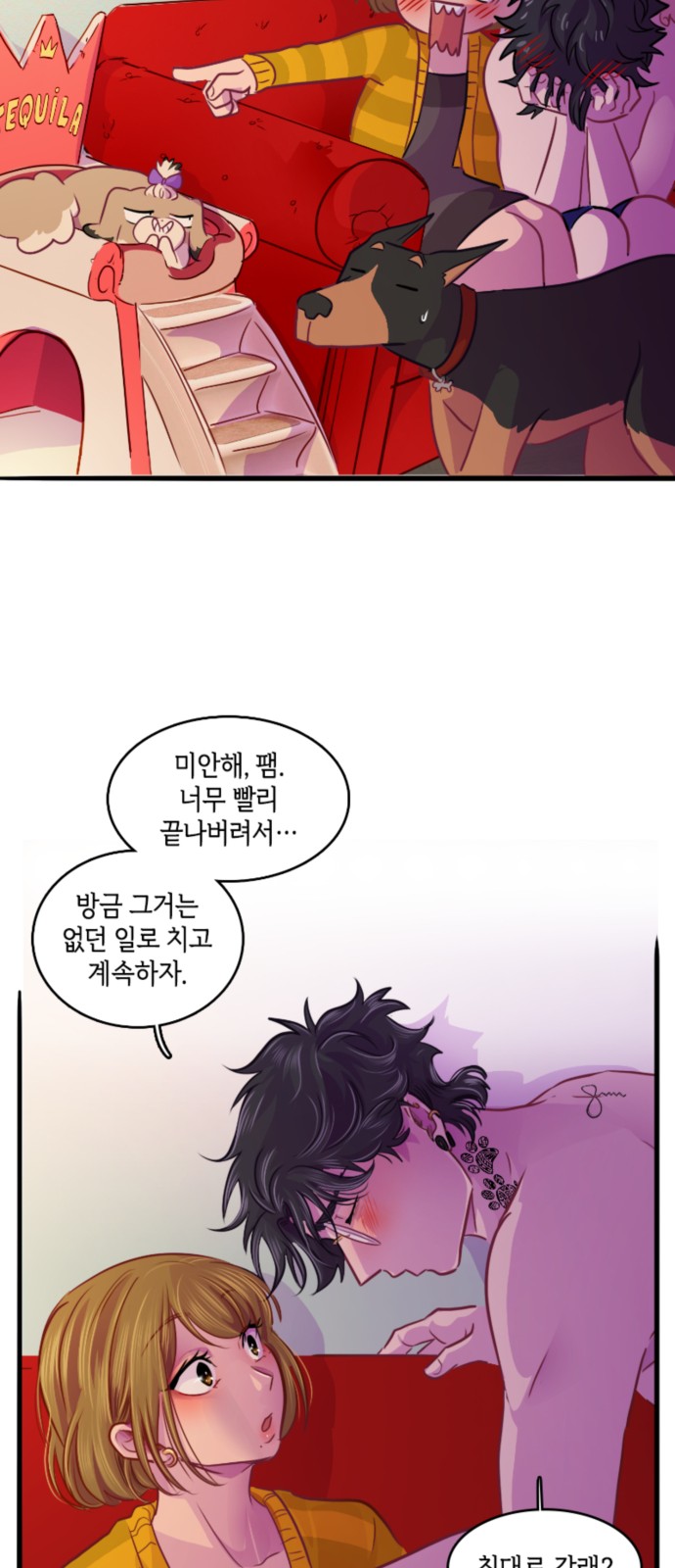26 페이지