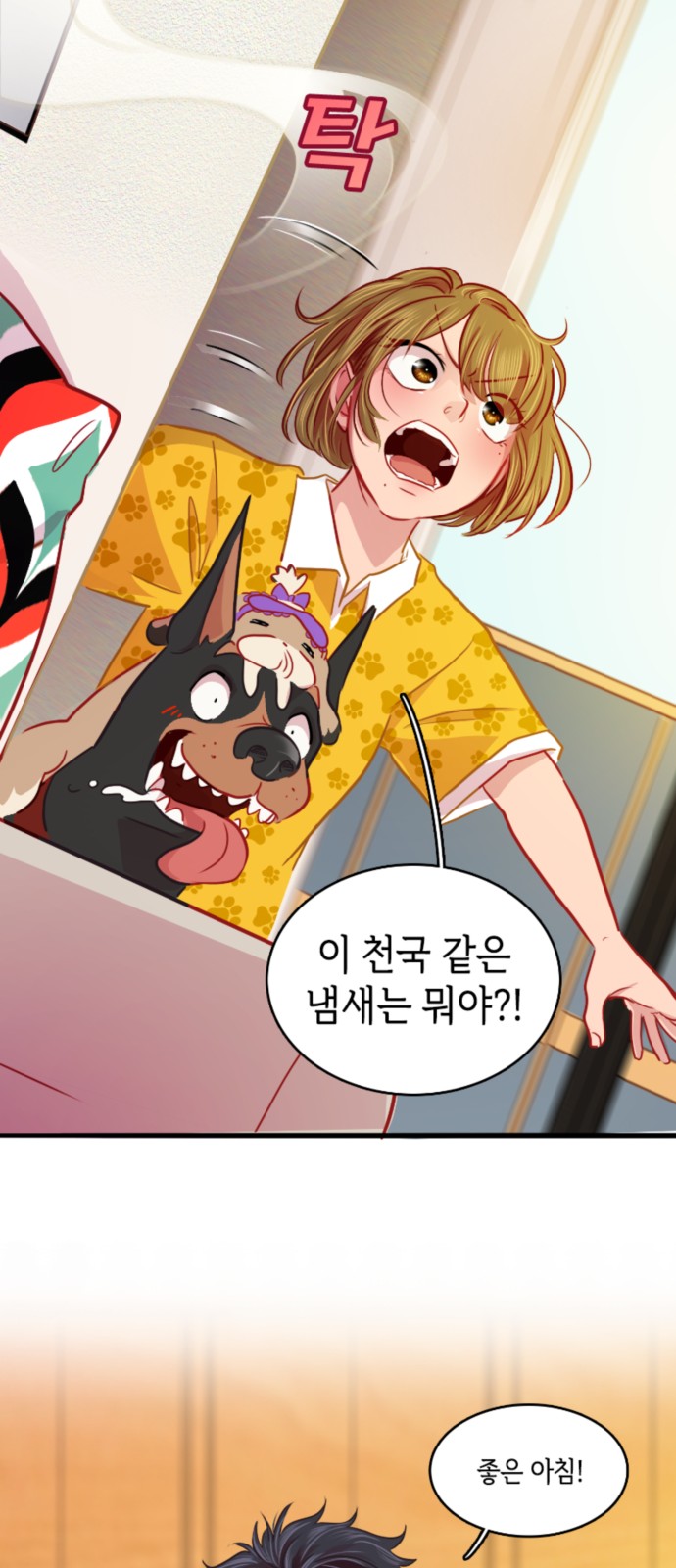 13 페이지