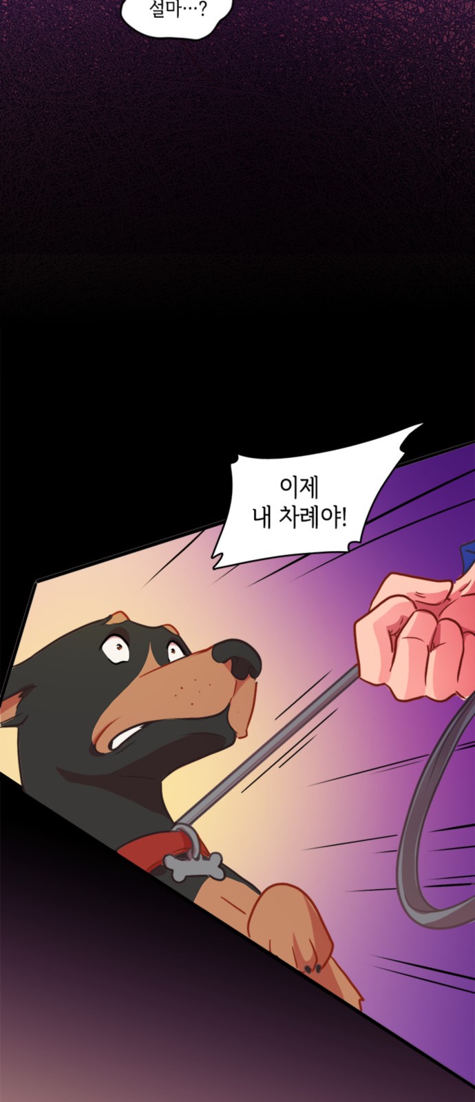 20 페이지