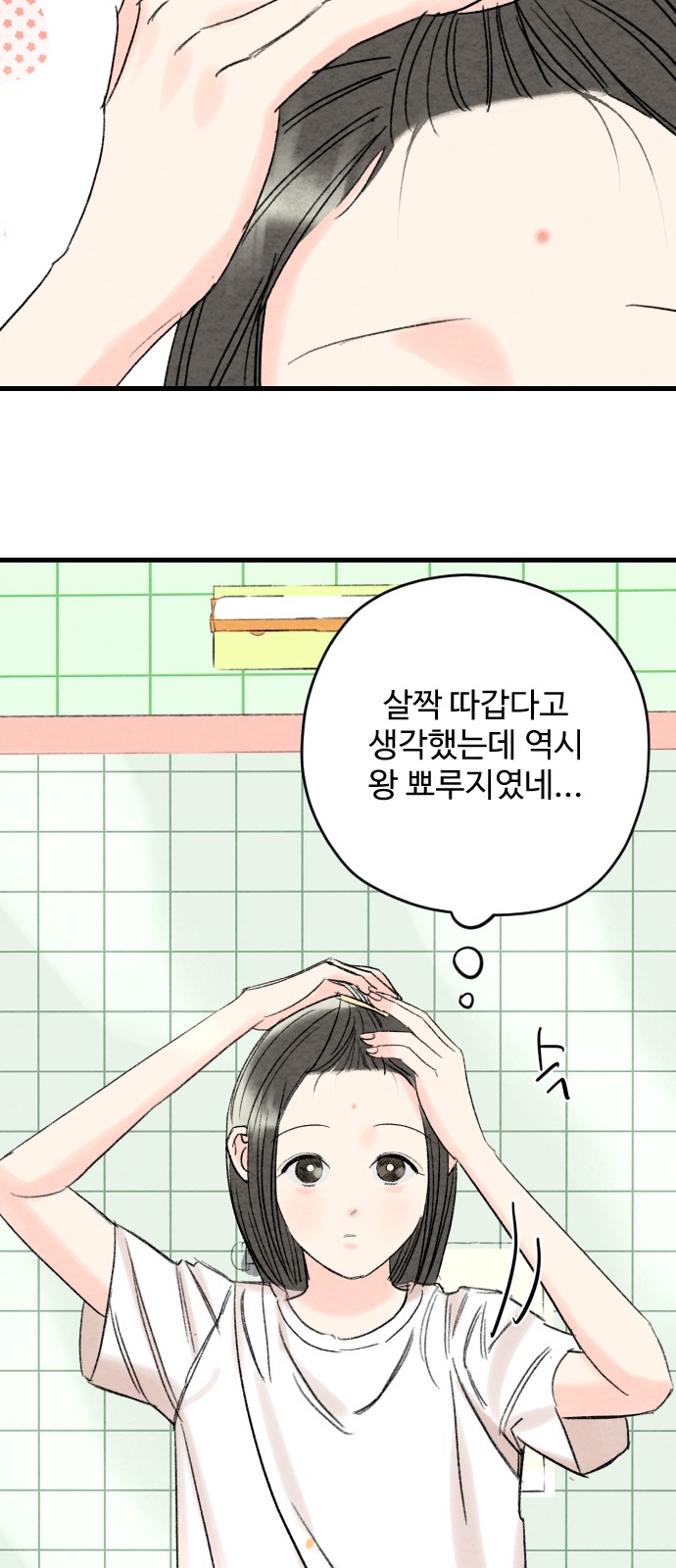 80 페이지