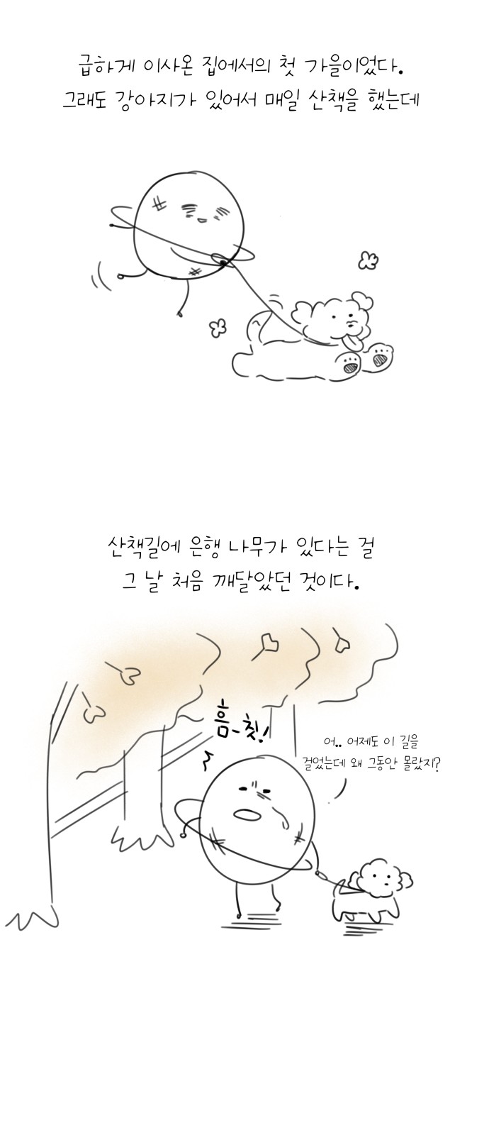 15 페이지