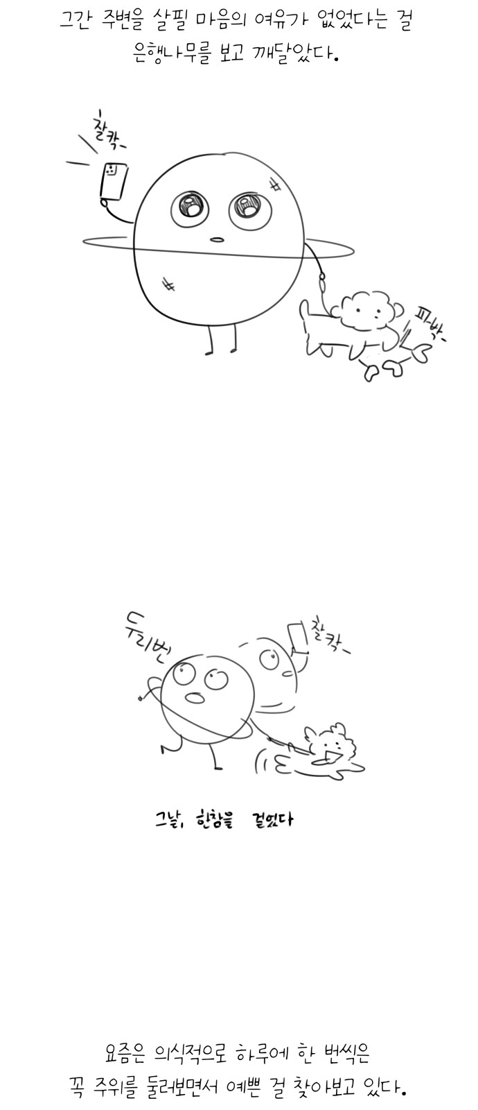 16 페이지