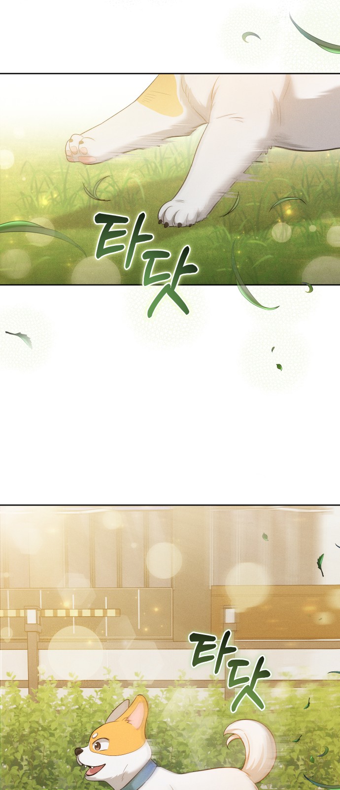 46 페이지