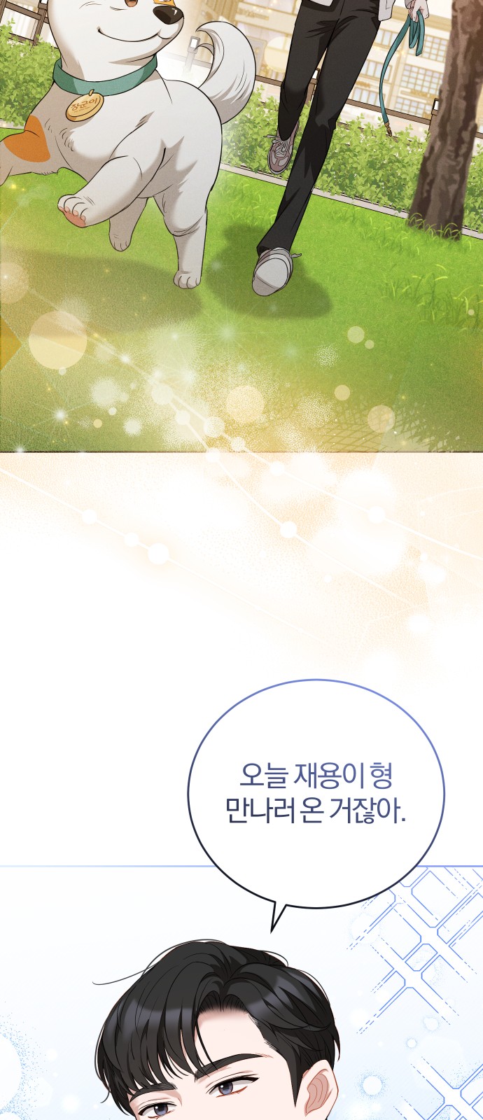 49 페이지