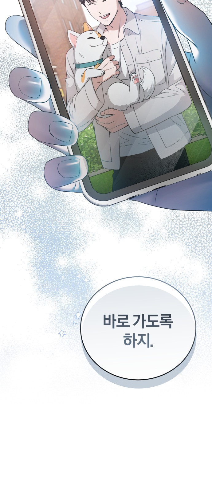 66 페이지