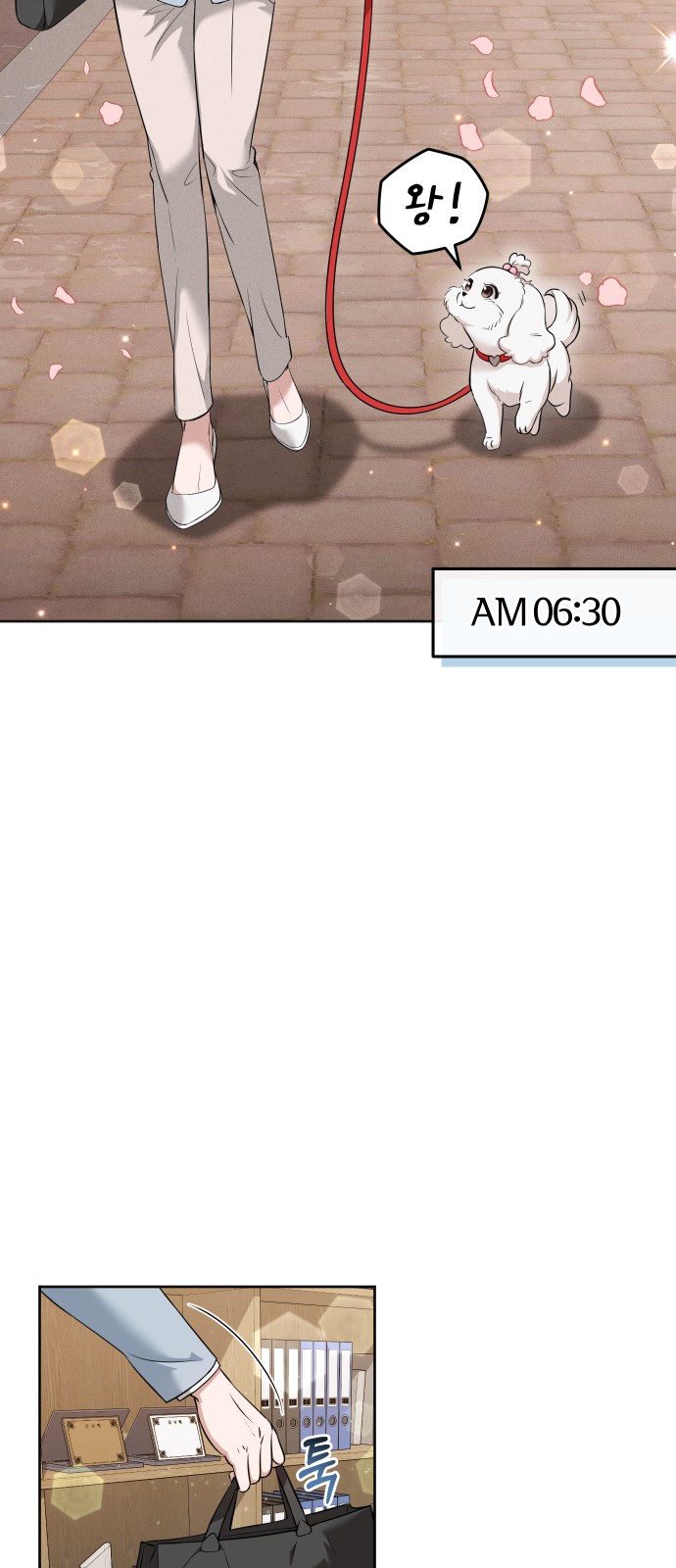 11 페이지