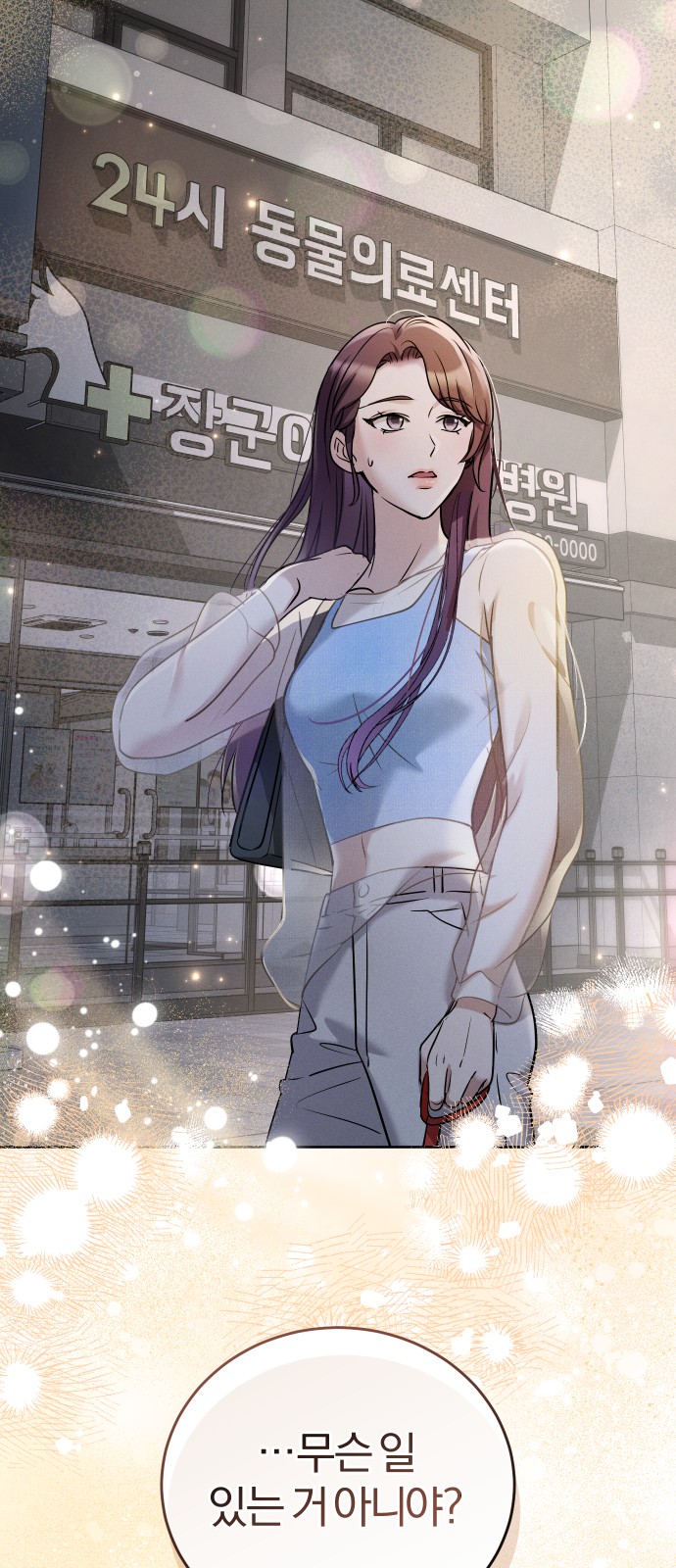 63 페이지