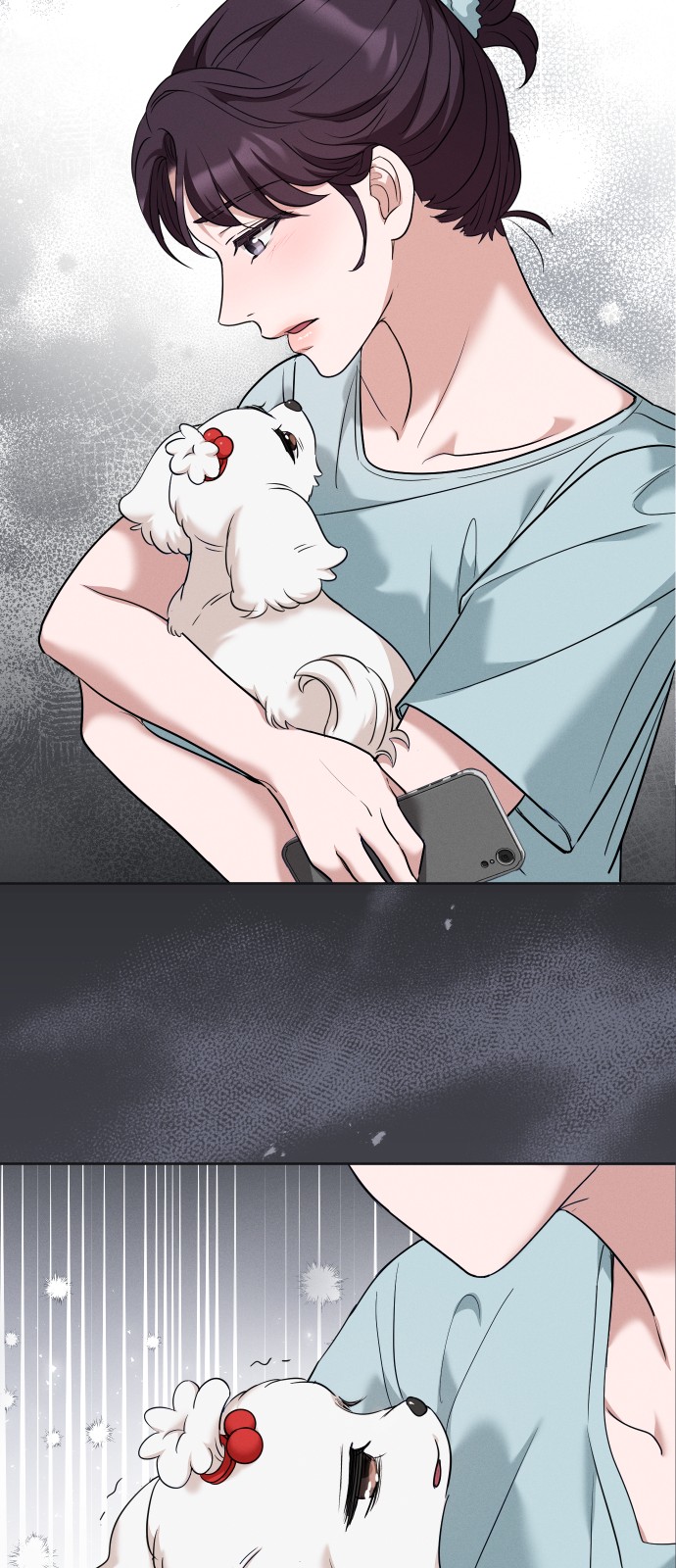 46 페이지