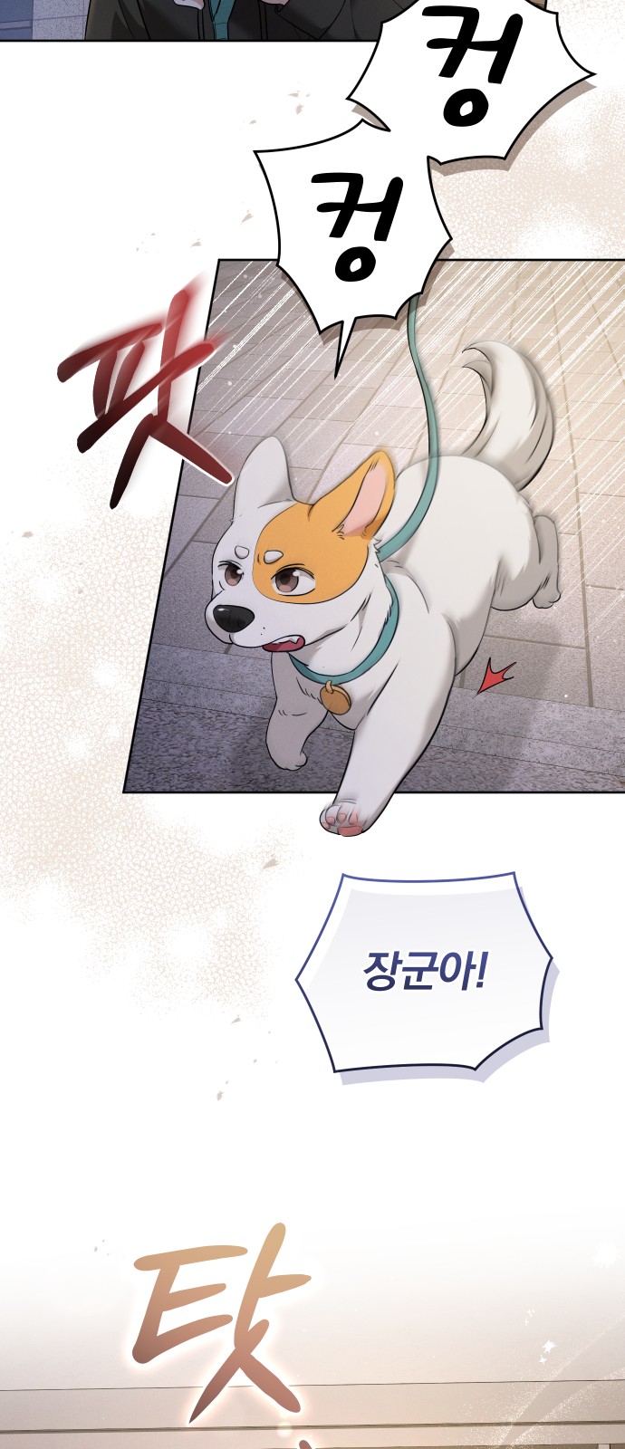 57 페이지