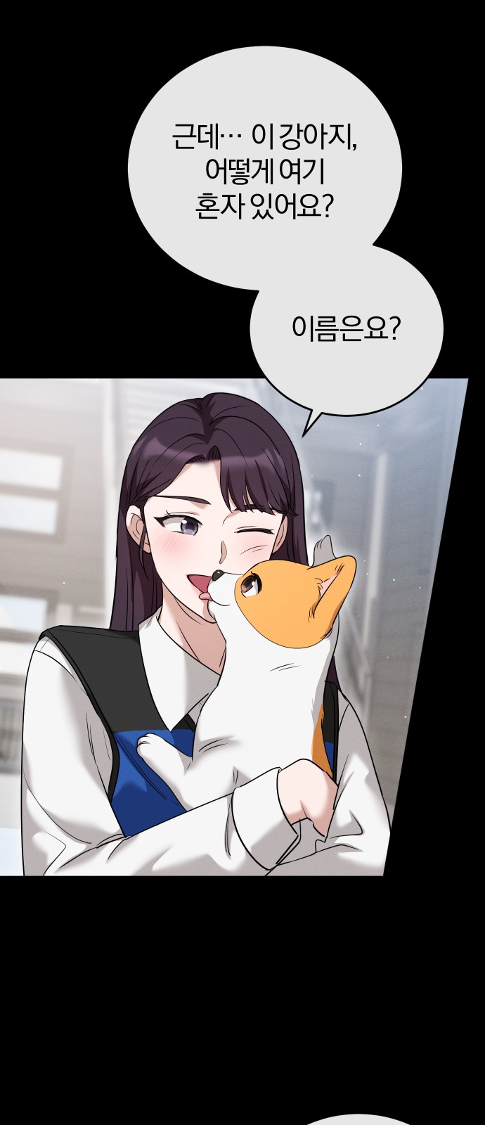 46 페이지
