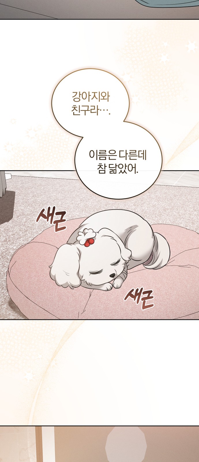 61 페이지