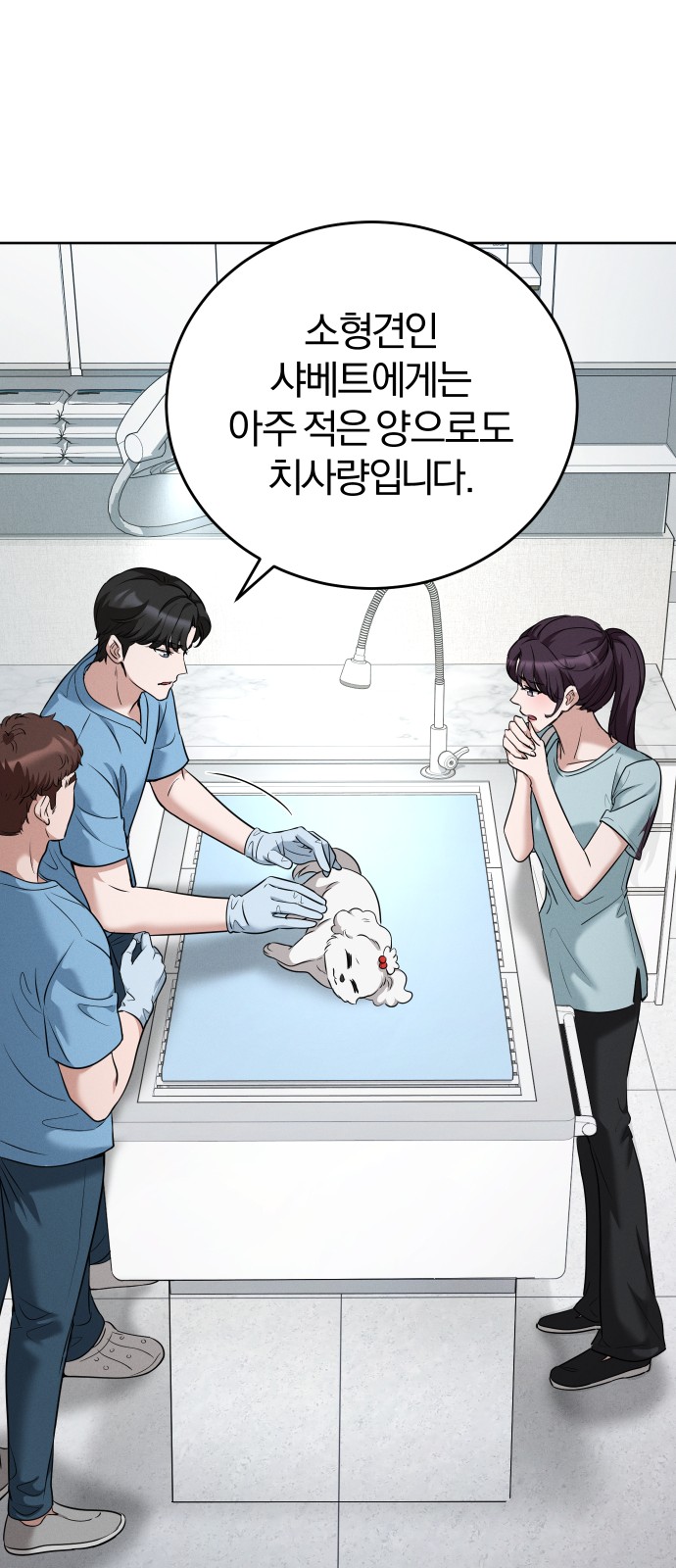 7 페이지
