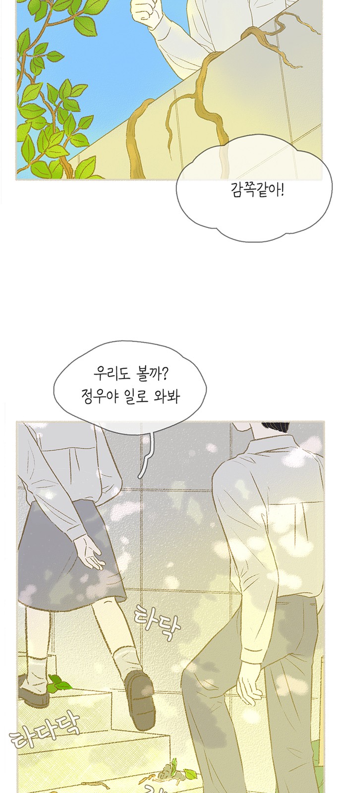 13 페이지