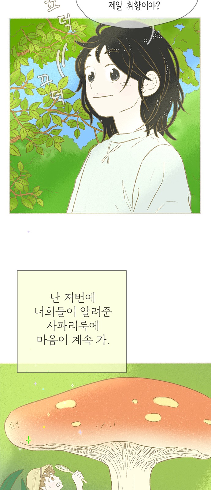 31 페이지