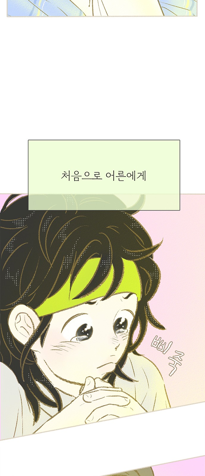 30 페이지