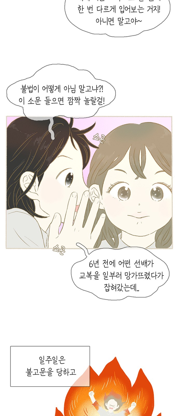 31 페이지
