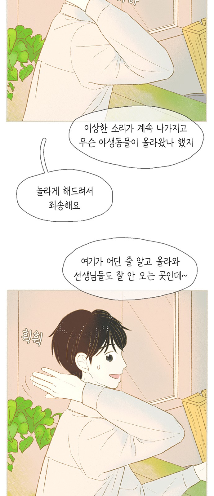 46 페이지