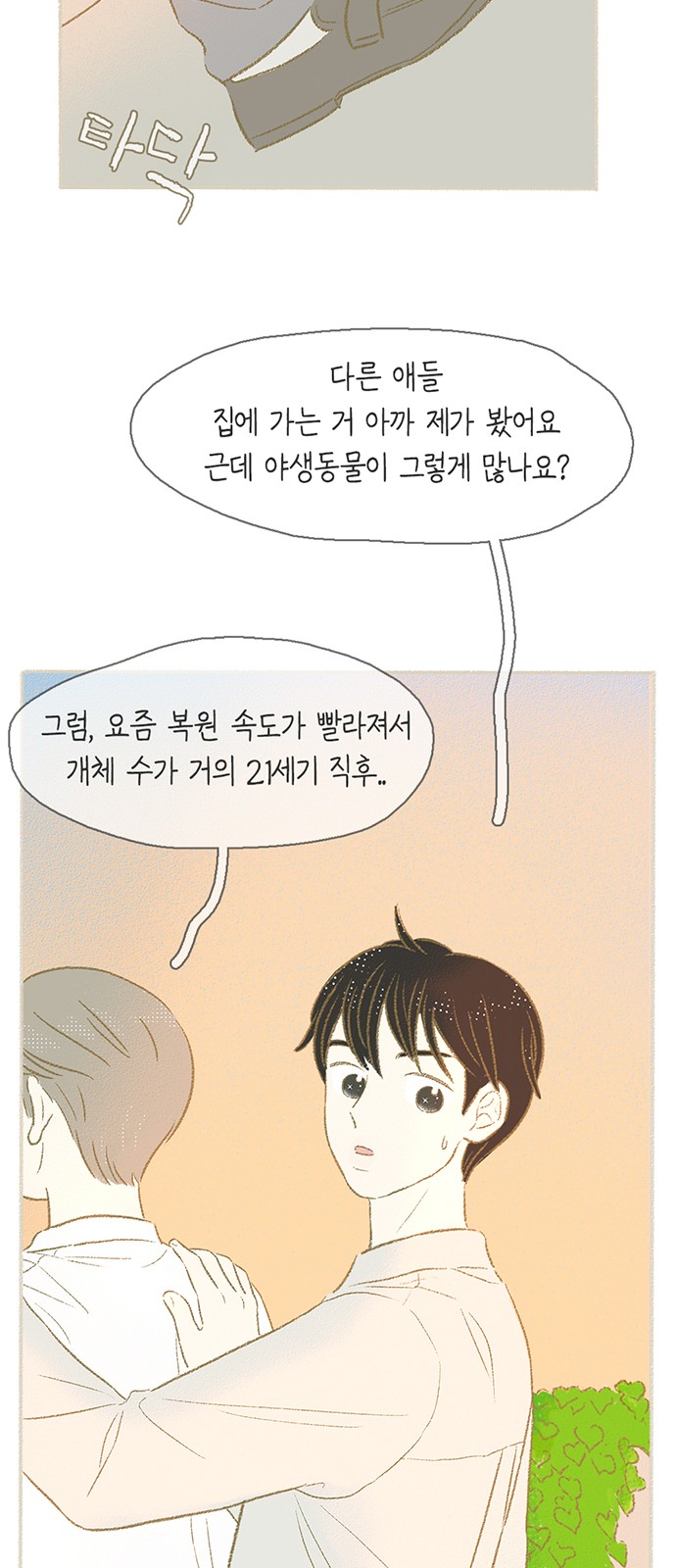 51 페이지