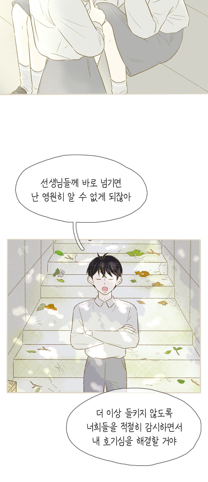 31 페이지