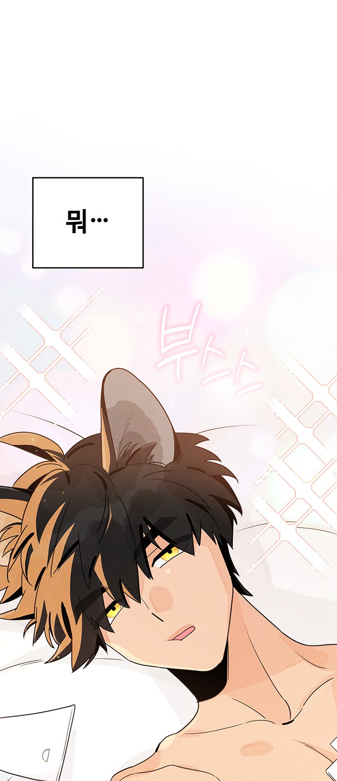111 페이지