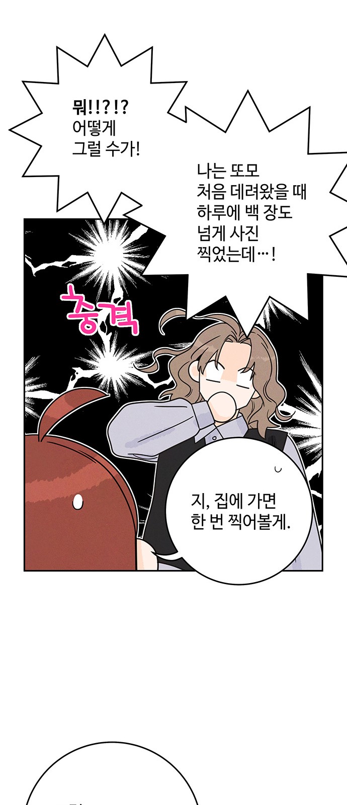 20 페이지