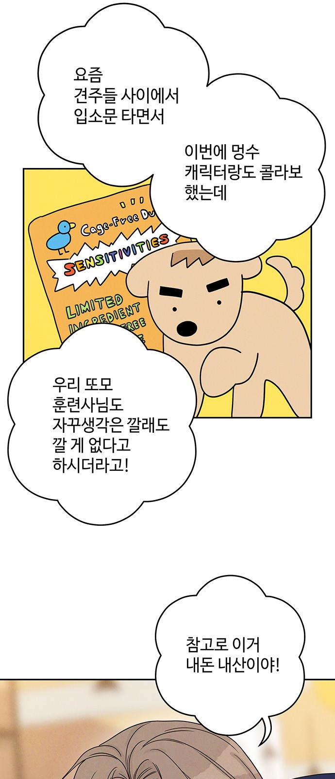 29 페이지