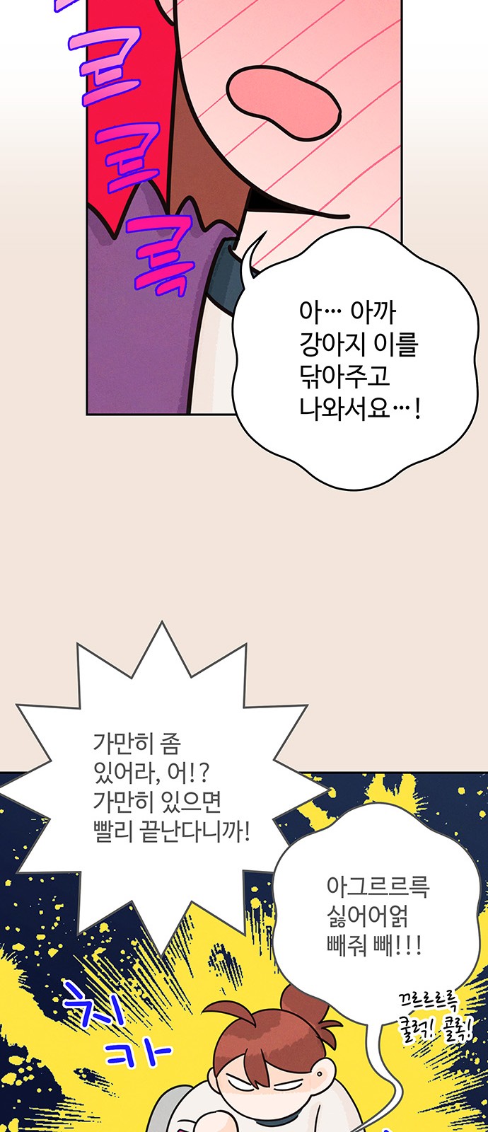 12 페이지
