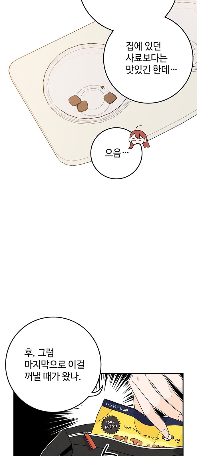43 페이지
