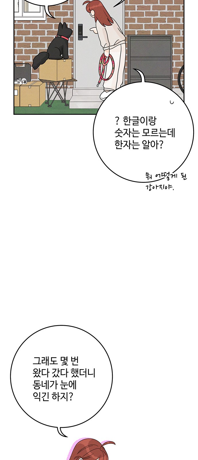 50 페이지