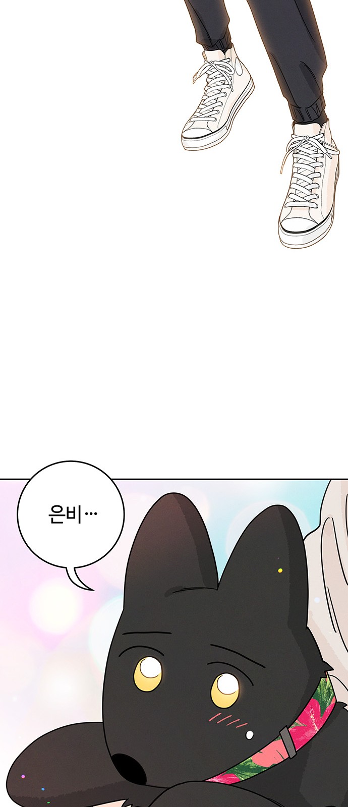 46 페이지