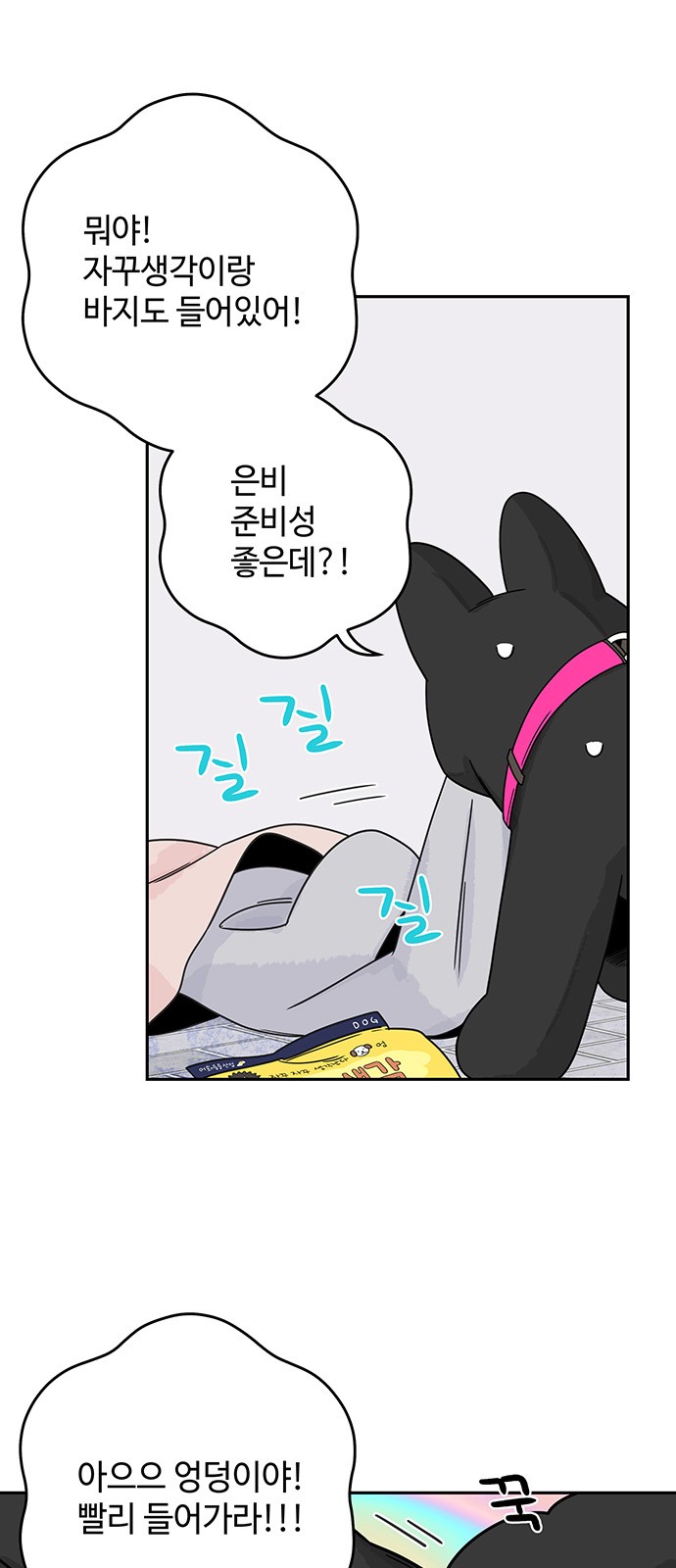 36 페이지