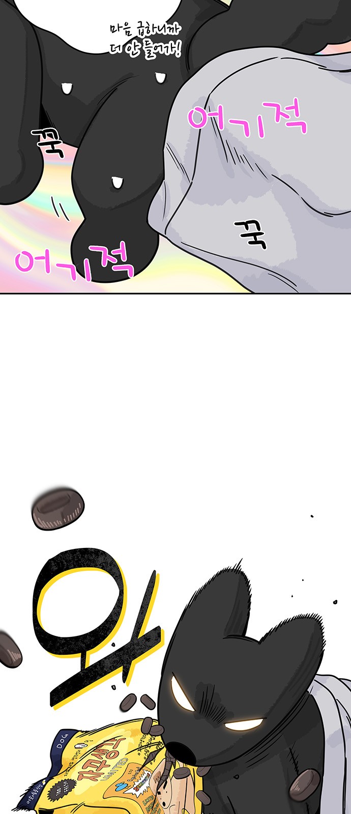 37 페이지