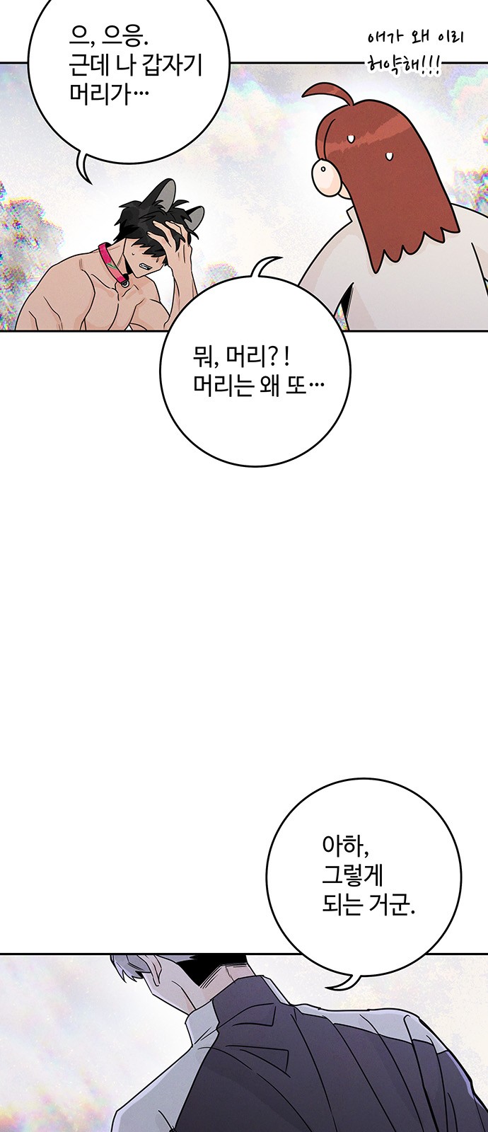 43 페이지