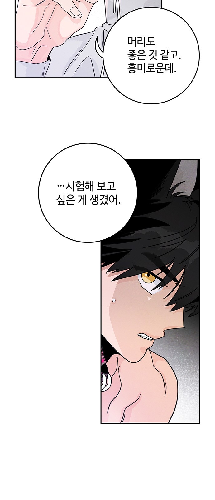 46 페이지